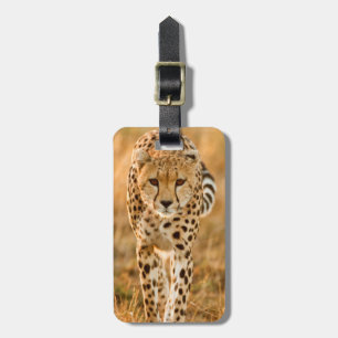 Étiquette À Bagage Portrait de Cheetah