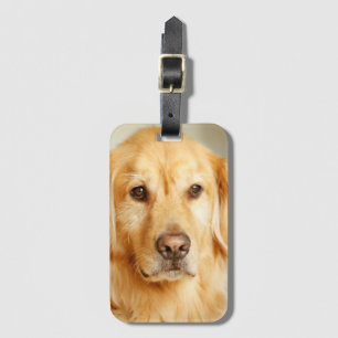 Étiquette À Bagage Portrait de Golden Retriever