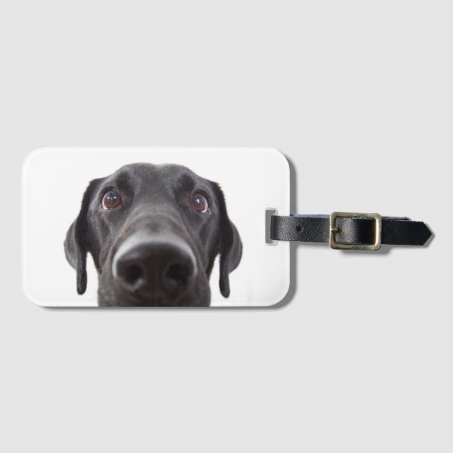 Étiquette À Bagage Portrait de la collection Black Labrador (Devant Horizontal)