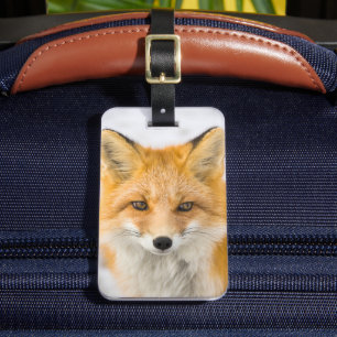 Étiquette À Bagage Portrait de renard roux