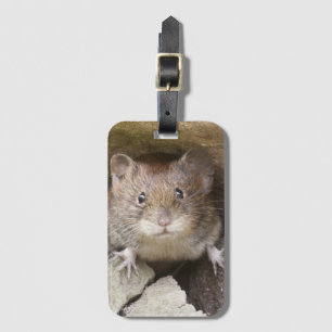 Étiquette À Bagage Portrait de souris
