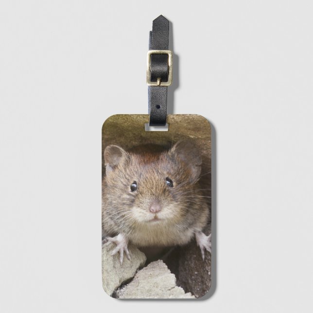 Étiquette À Bagage Portrait de souris (Devant Vertical)