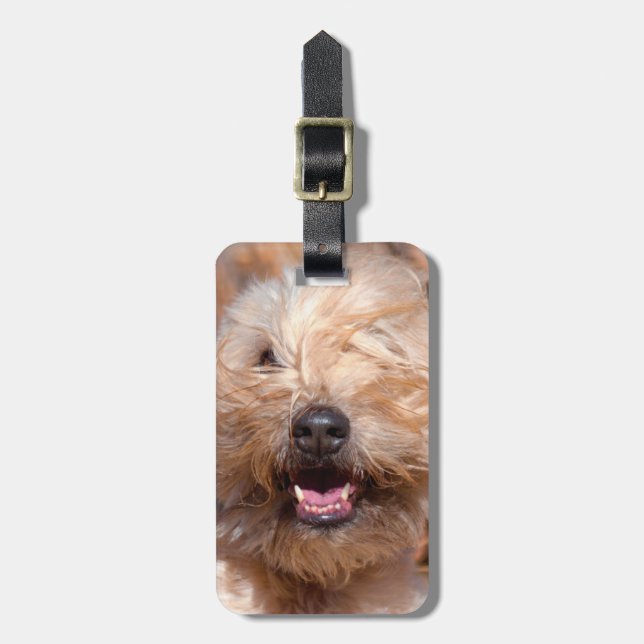 Étiquette À Bagage Portrait de Terrier à revêtement souple (Devant Vertical)