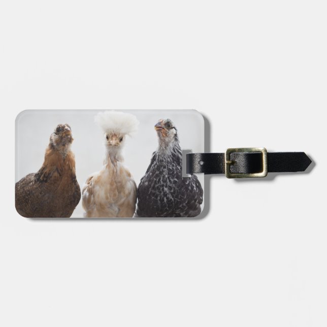 Étiquette À Bagage Portrait de trois poulets d'animal familier (Devant horizontal)