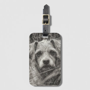 Étiquette À Bagage Portrait noir et blanc mignon et chiot photo