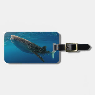 Étiquette À Bagage Profil d'un requin baleine, Indonésie