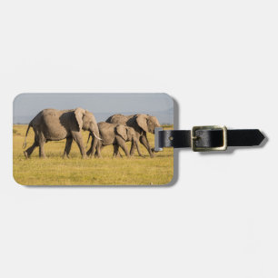 Étiquette À Bagage Promenade en famille des éléphants