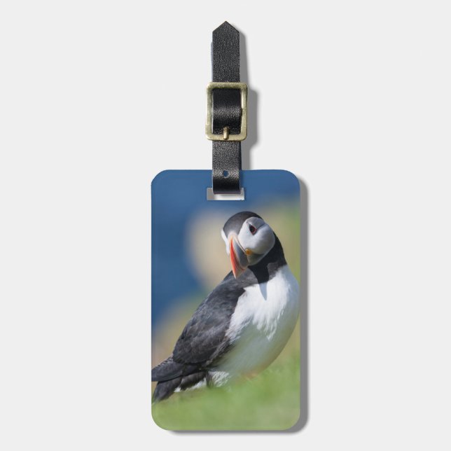 Étiquette À Bagage Puffin Atlantique (Fratercula Arctica) Sur La Fala (Devant Vertical)