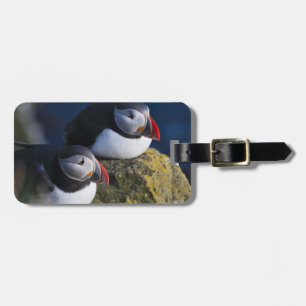 Étiquette À Bagage Puffin de l'Atlantique