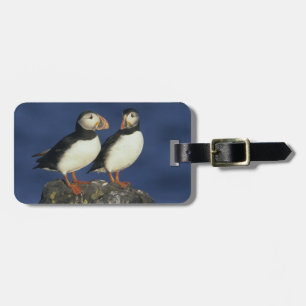 Étiquette À Bagage Puffin de l'Atlantique