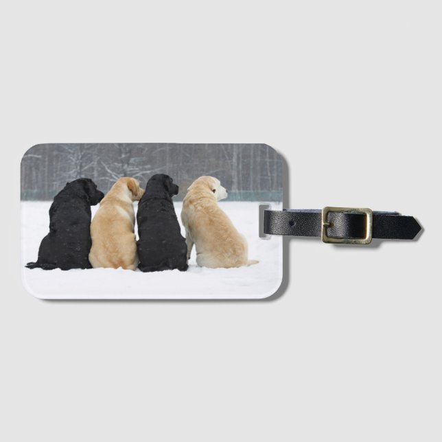 Étiquette À Bagage Quatre Chiens du Labrador en neige (Devant Horizontal)