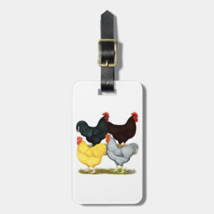 Étiquette À Bagage Quatuor de poulet à coq lourd