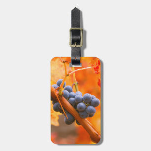 Étiquette À Bagage Raisin de vigne dans le vignoble