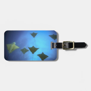 Étiquette À Bagage Rayons d'aigle tacheté nageant sous les Galapagos