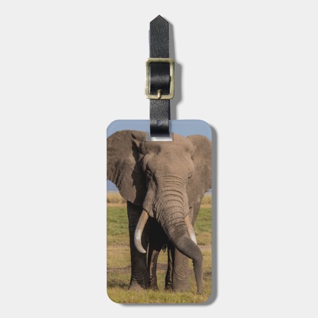 Étiquette À Bagage Recherche des éléphants (Devant Vertical)