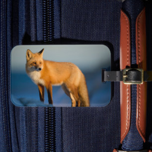 Étiquette À Bagage Renard Brown