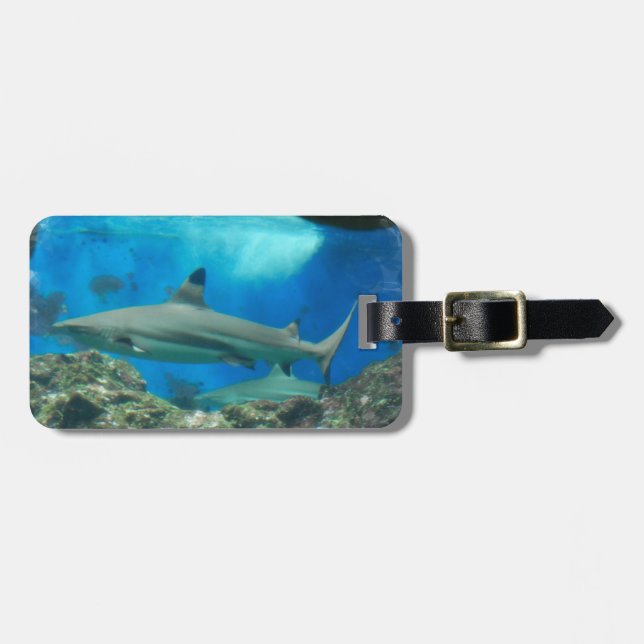 Étiquette À Bagage Requin avec l'étiquette de bagage de récif (Devant horizontal)