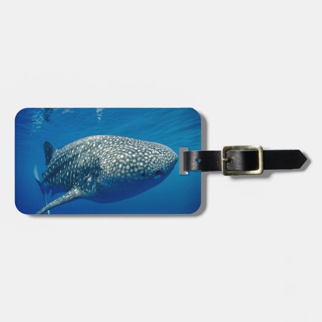 Étiquette À Bagage Requin baleine (Devant horizontal)
