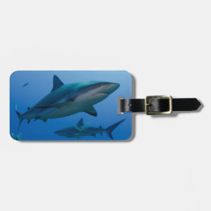 Étiquette À Bagage Requin des récifs des Caraïbes Jardines de la Rein