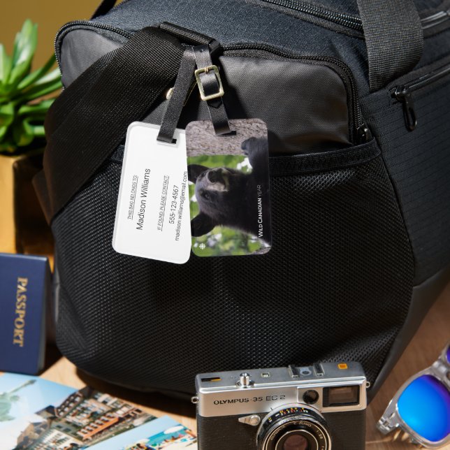 Étiquette À Bagage Ressort - Ours noir (Recto & Verso)