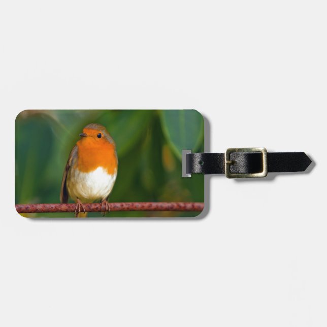 Étiquette À Bagage Robin de Noël (Devant horizontal)