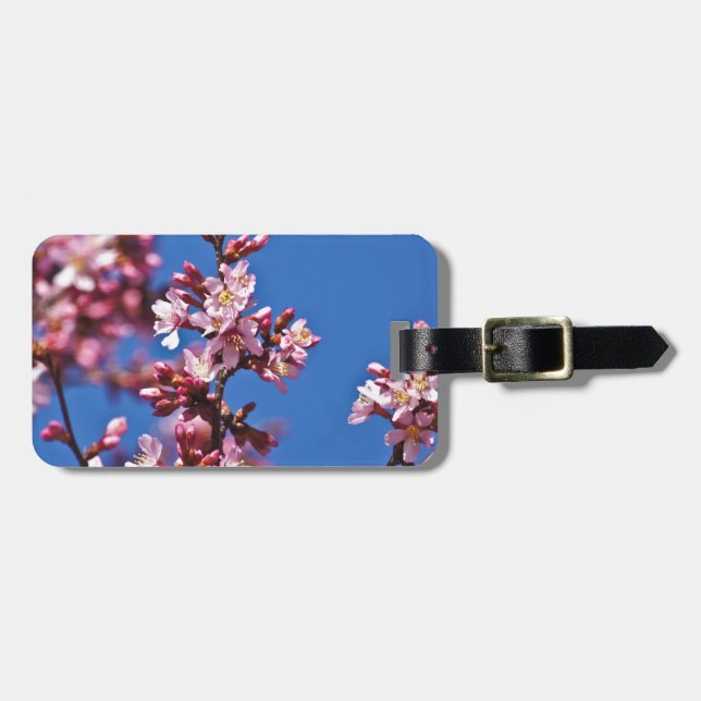 Étiquette À Bagage Sakura Cerry Blossoms Touché Bleu (Devant horizontal)