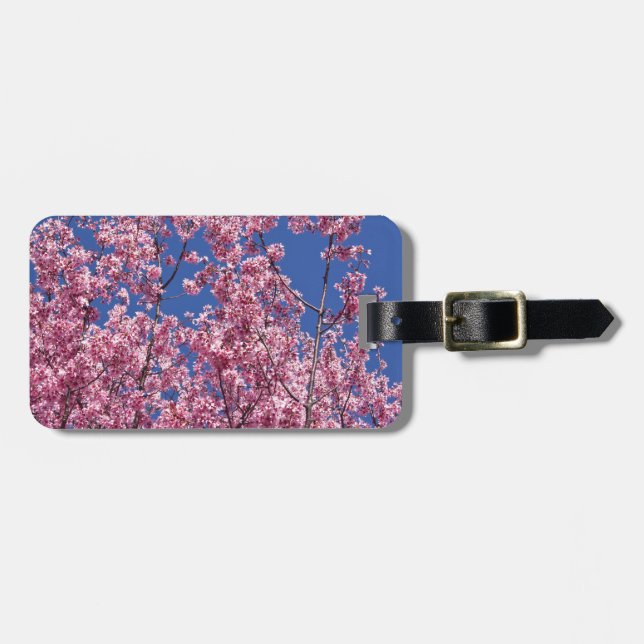 Étiquette À Bagage Sakura Cherry Fleurit Dans Le Bleu (Devant horizontal)