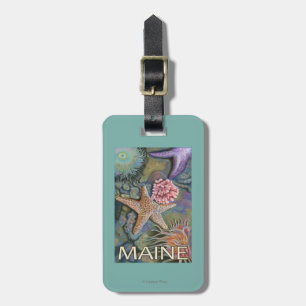 Étiquette À Bagage Scène de MaineTidepool