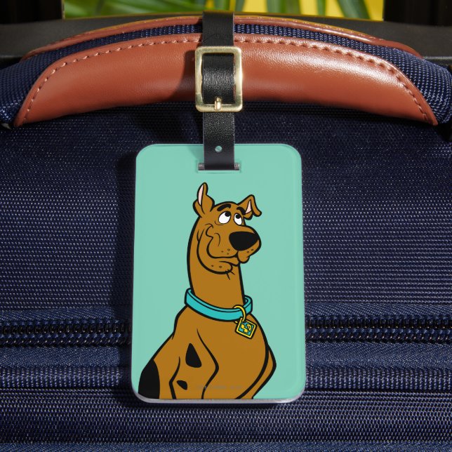 Étiquette À Bagage Scooby Doo Chiot Yeux (Insitu Rectoal 2)