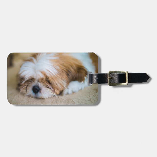 Étiquette À Bagage Shih Tzu (Devant horizontal)