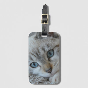 Étiquette À Bagage Siamois Tabby Argent