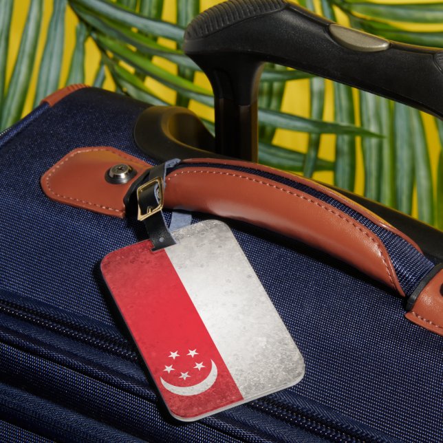 Étiquette À Bagage Singapour (Insitu Rectoal 1)