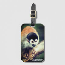 Singe D'Écureuil Dans L'Arbre