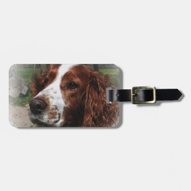 Étiquette À Bagage Springer Spaniel Chien Art (Devant horizontal)