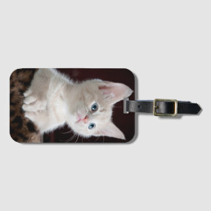 Étiquette À Bagage Sucré chaton