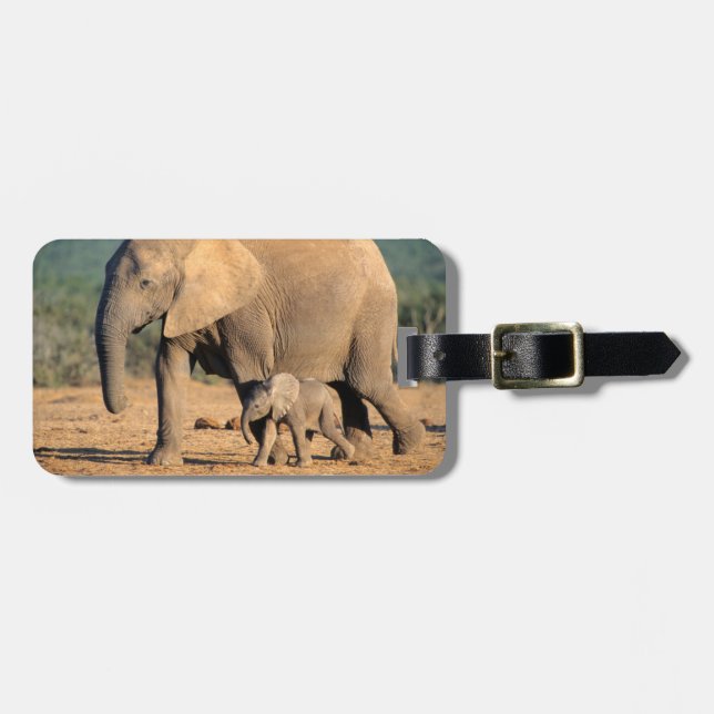 Étiquette À Bagage Sur African Elephant mother and calf on the move (Devant horizontal)