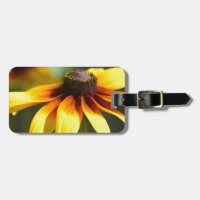 Susans observé par noir brillant