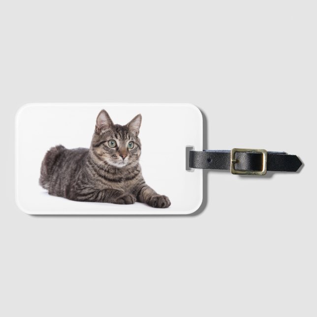 Étiquette À Bagage Tabby Gris (Devant Horizontal)