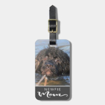 Terre-Neuve Photo de Newfie Mom Chien