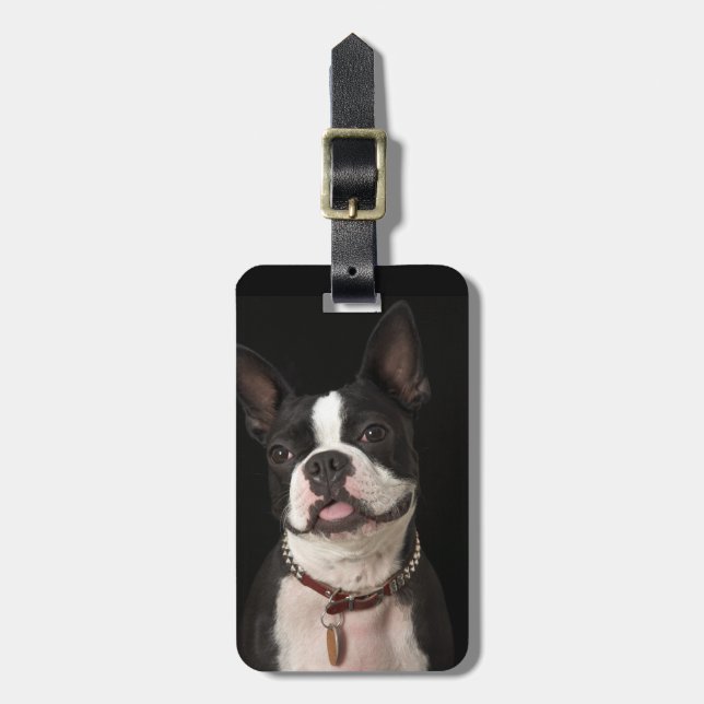 Étiquette À Bagage Terrier de sourire de Boston avec le collier (Devant Vertical)