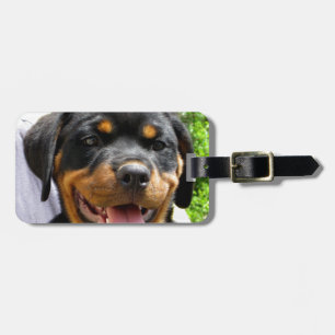 Étiquette À Bagage Tête de chiot Rottweiler Chien mignonne
