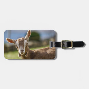 Étiquette À Bagage Toggenburg Dairy Goût Kid