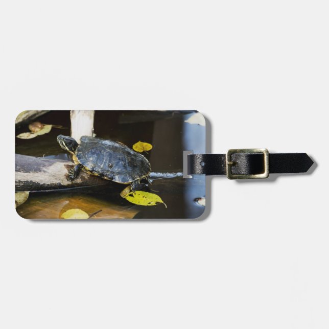 Étiquette À Bagage Tortue de l'étang dans la nature (Devant horizontal)