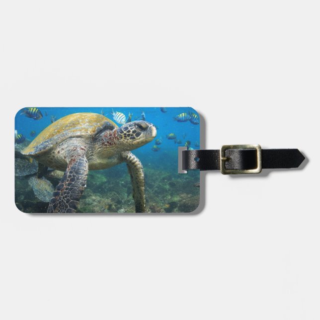 Étiquette À Bagage Tortue de mer nager sous l'eau Galapagos paradis (Devant horizontal)