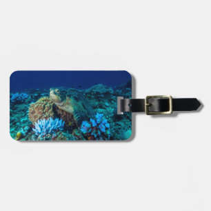 Étiquette À Bagage Tortue de mer sur la Grande barrière de corail