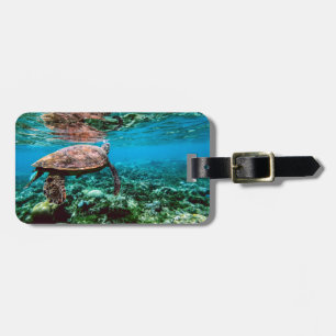 Étiquette À Bagage Tortue de mer tropicale sous-marine