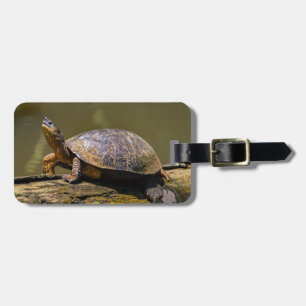 Étiquette À Bagage Tortue de rivière à Tortuguero - Costa Rica