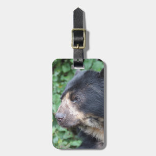 Étiquette À Bagage Tremarctos ornatus