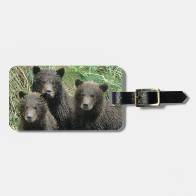 Étiquette À Bagage Trois cubes d'ours grizzli ou des lys (Devant horizontal)