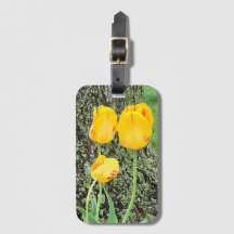 Trois Tulipes Jaunes /